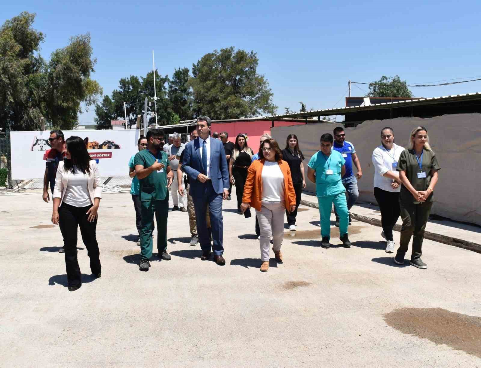 Didim’de hayvan barınağı denetlendi

