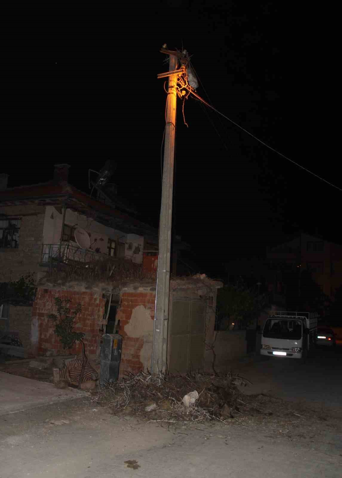 Yıkılan yuvadan düşen yavru leylekler telef oldu
