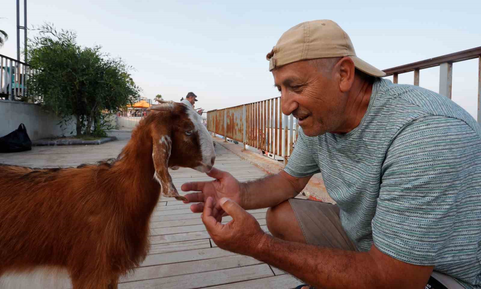 Hemcinsleri bıçak altına yatarken o deniz keyfi yaptı