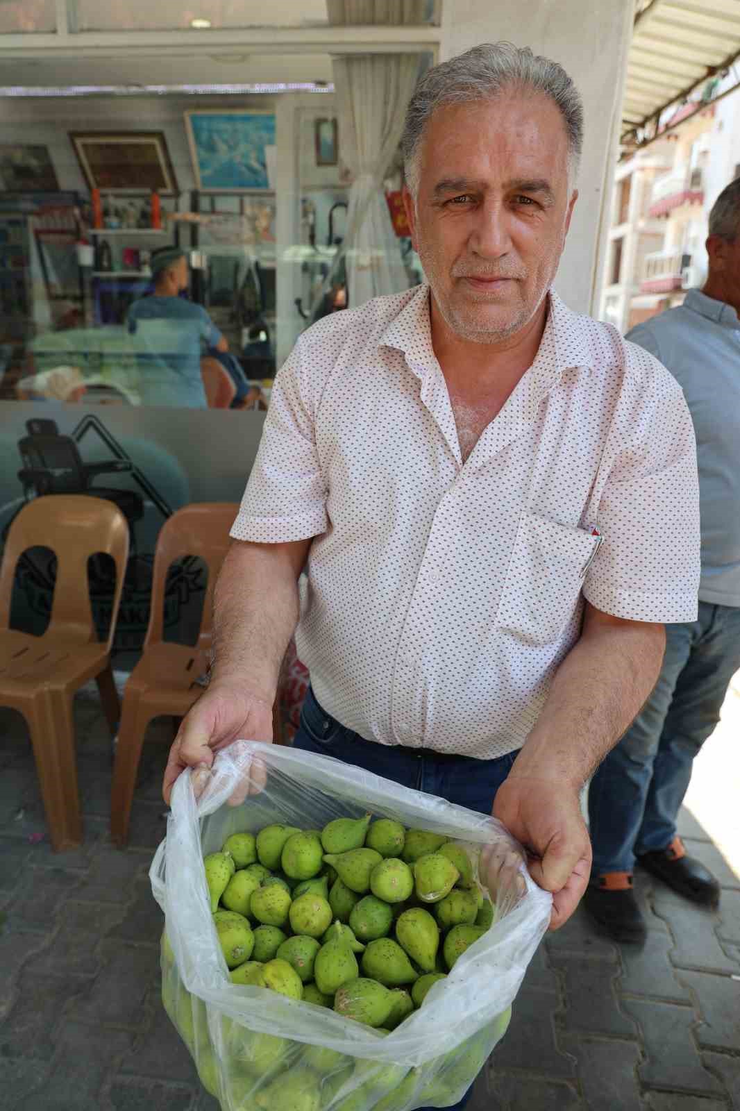 Aydın incirinde ’ilekleme’ sezonu başladı
