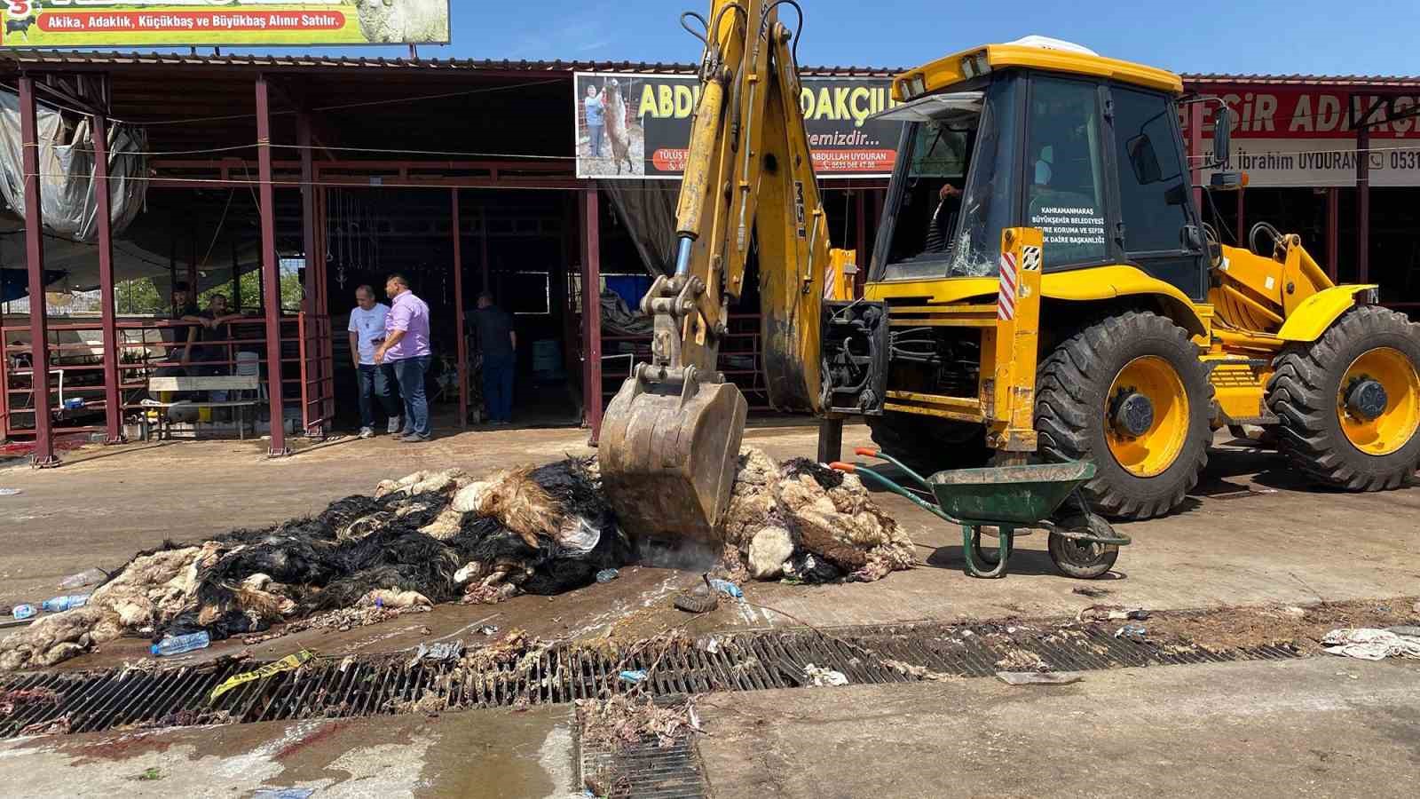 Kahramanmaraş’ta hayvansal atıklar temizlendi
