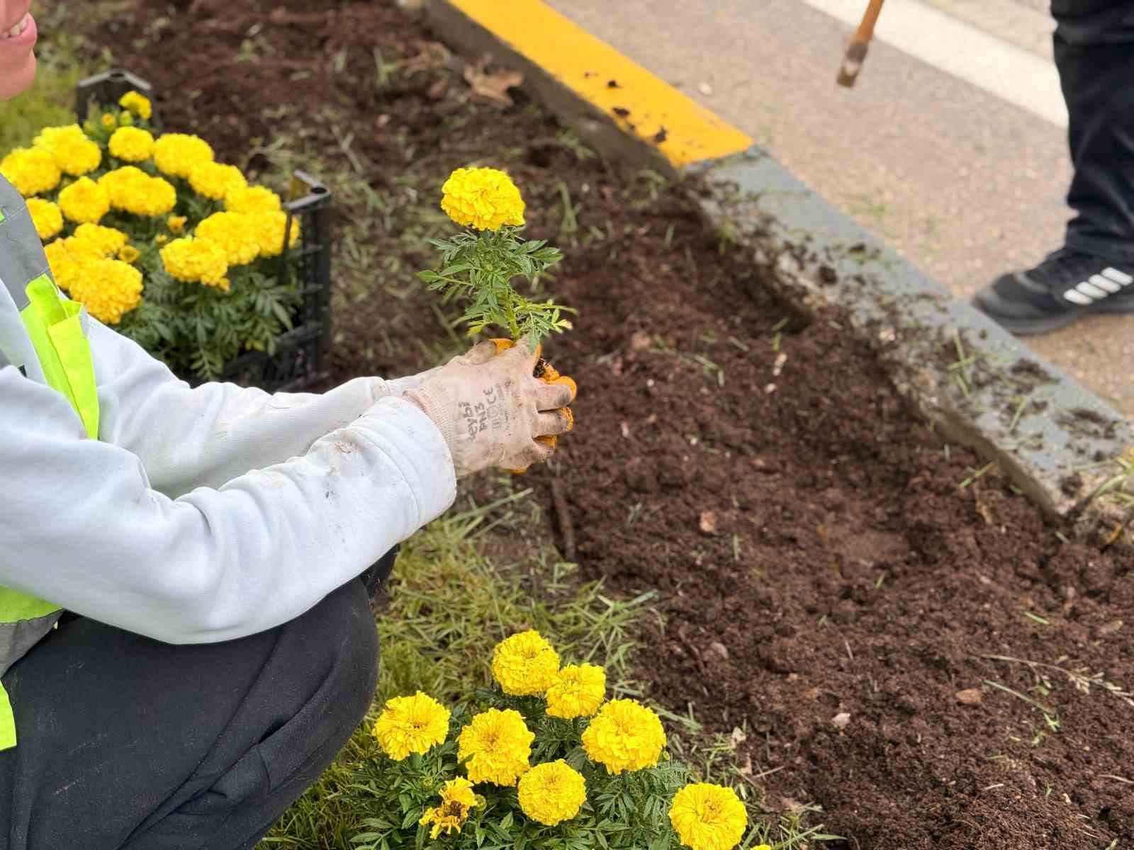 Karab&uuml;k Belediyesi kenti &ccedil;i&ccedil;eklerle renklendiriyor
