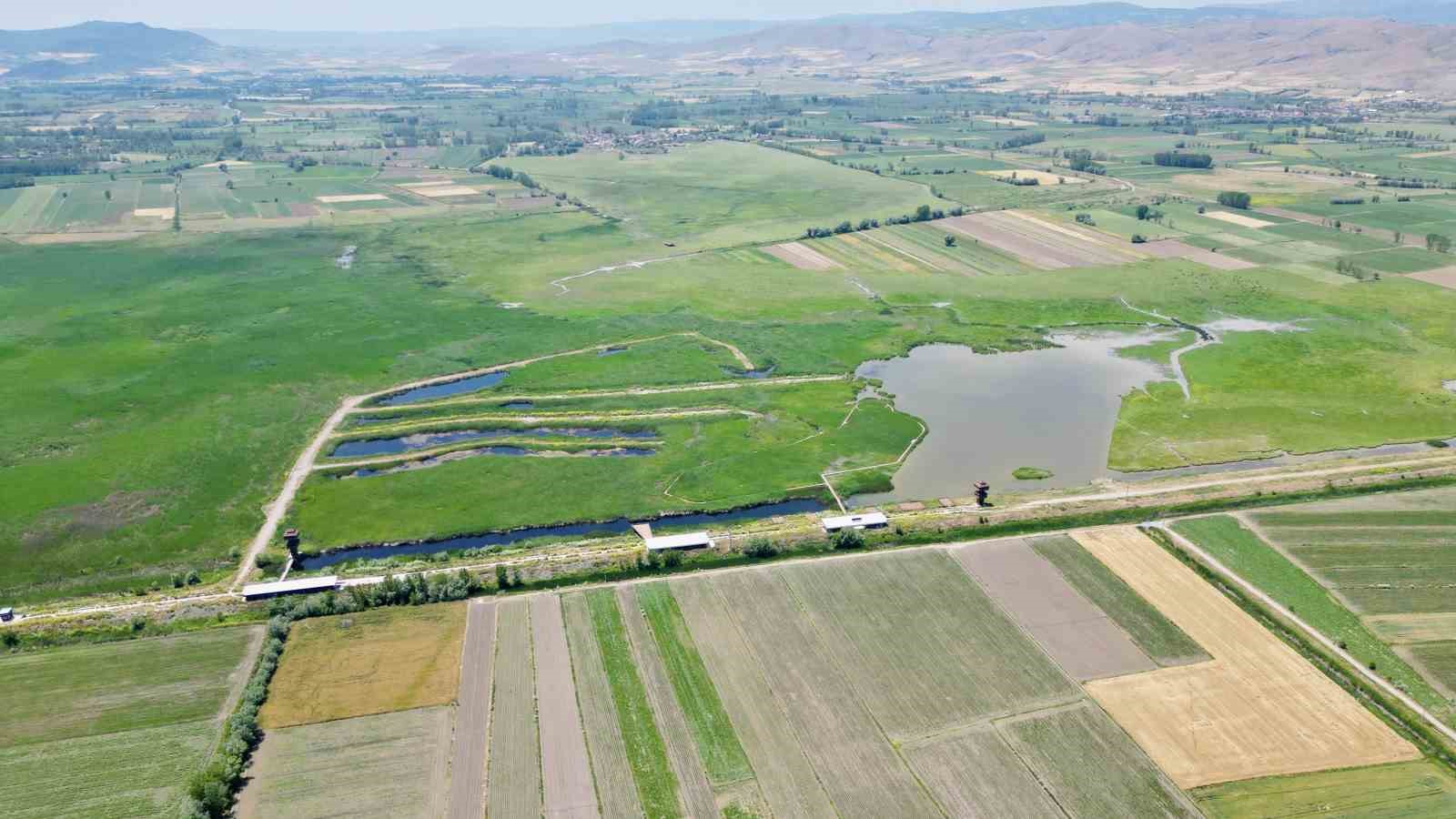 Kaz Gölü yeni evlenen çiftler için doğal stüdyo oldu