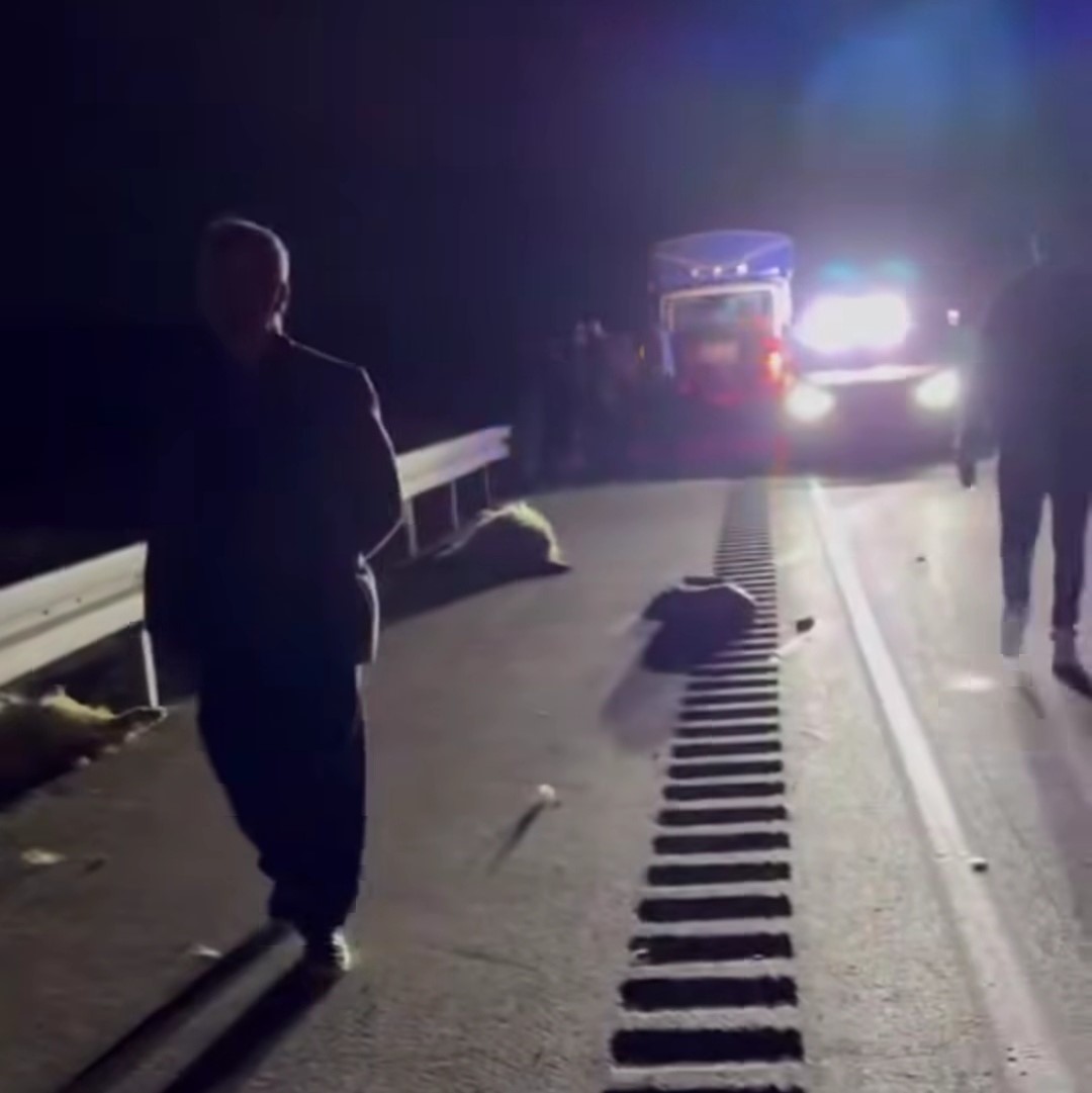 Van&rsquo;da hafif ticari kamyonet s&uuml;r&uuml;ye &ccedil;arptı; 8 koyun telef oldu
