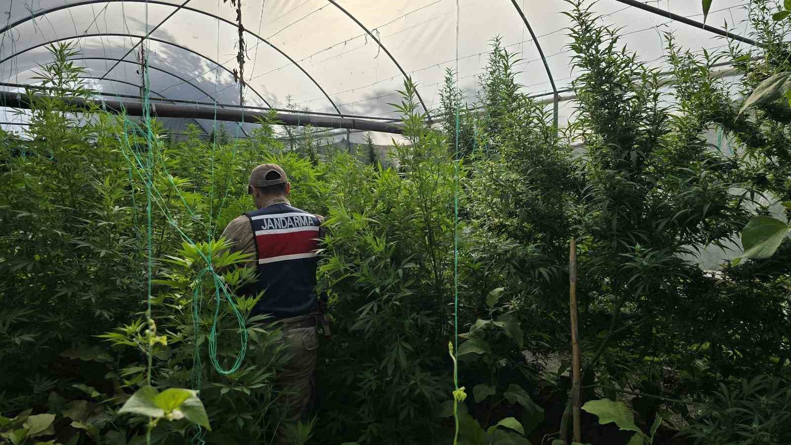 Hatay’da jandarma ekipleri 83 şahsın evinde ve iş yerinde arama yaptı