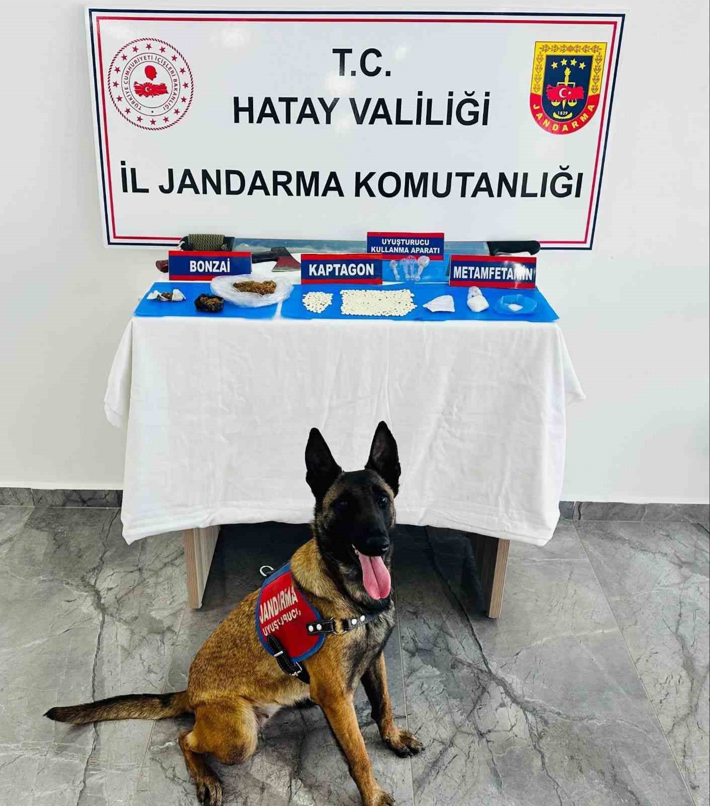 Hatay&rsquo;da jandarma ekipleri 83 şahsın evinde ve iş yerinde arama yaptı
