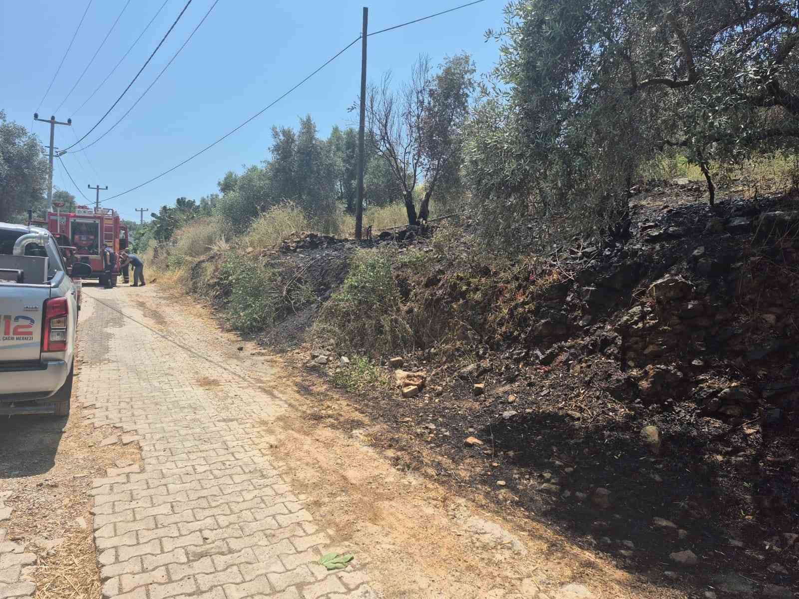 Ula’da yol kenarında çıkan yangın korkuttu