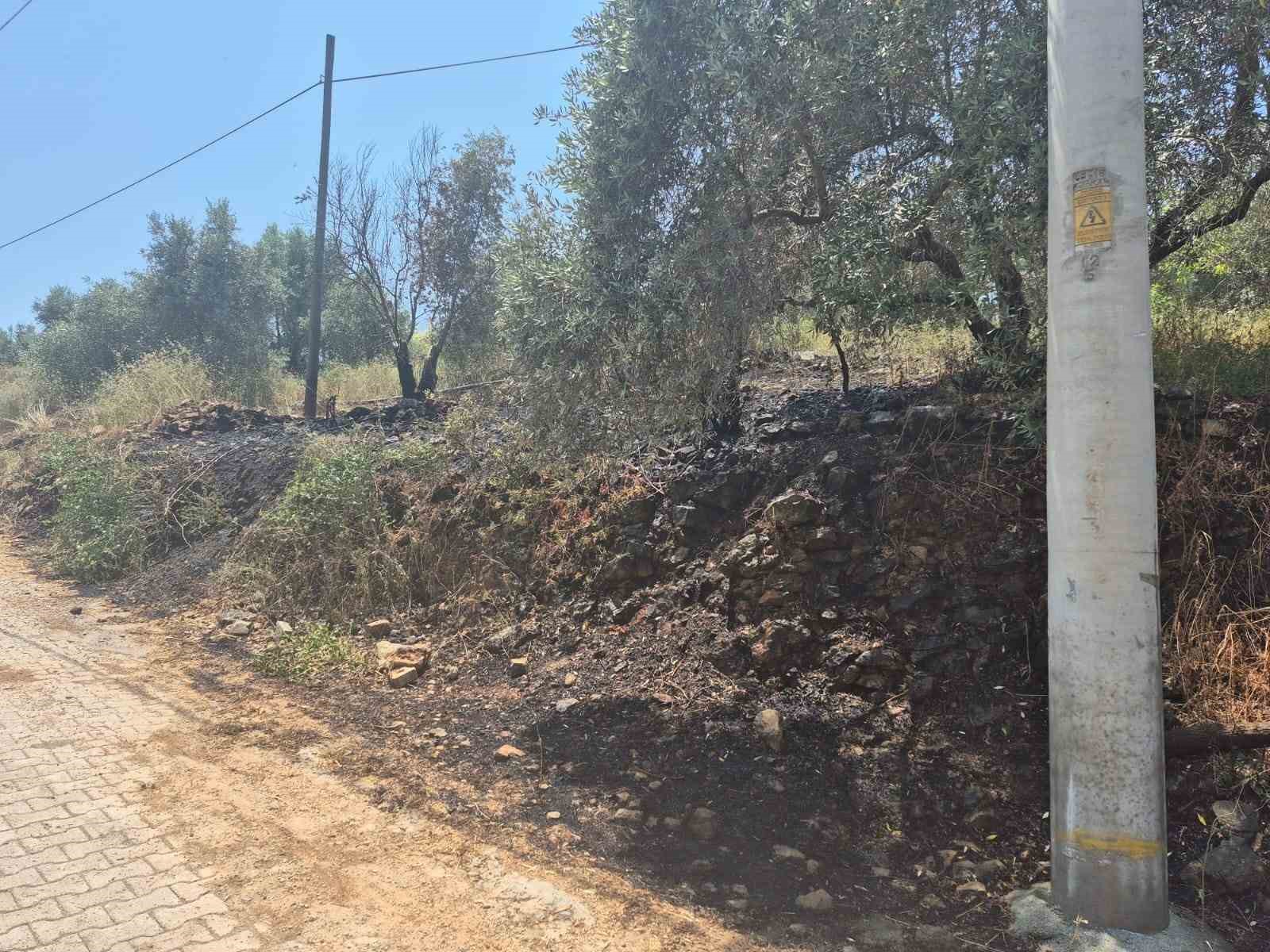 Ula&rsquo;da yol kenarında &ccedil;ıkan yangın korkuttu
