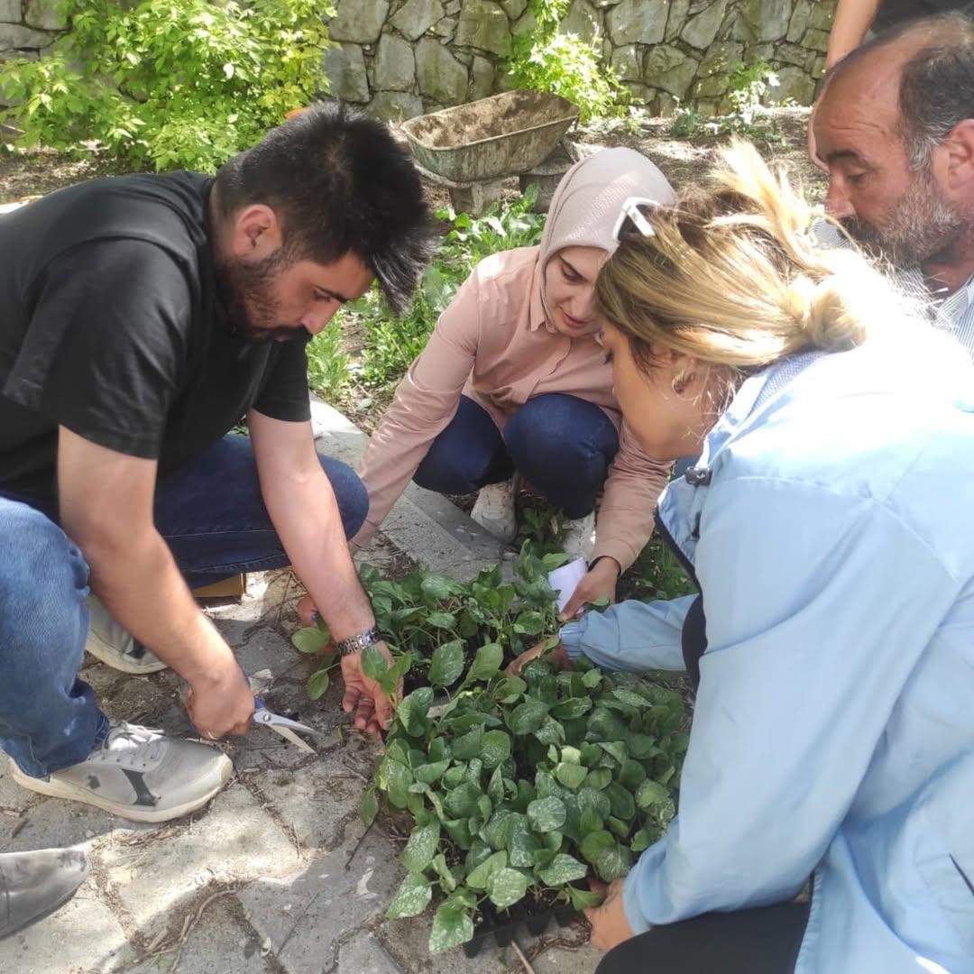 Hamur’da sebze fideleri dağıtımı gerçekleştirildi