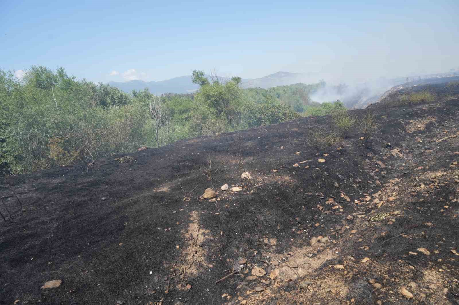 Zeytinlik alandaki yangın kısmen kontrol altına alındı
