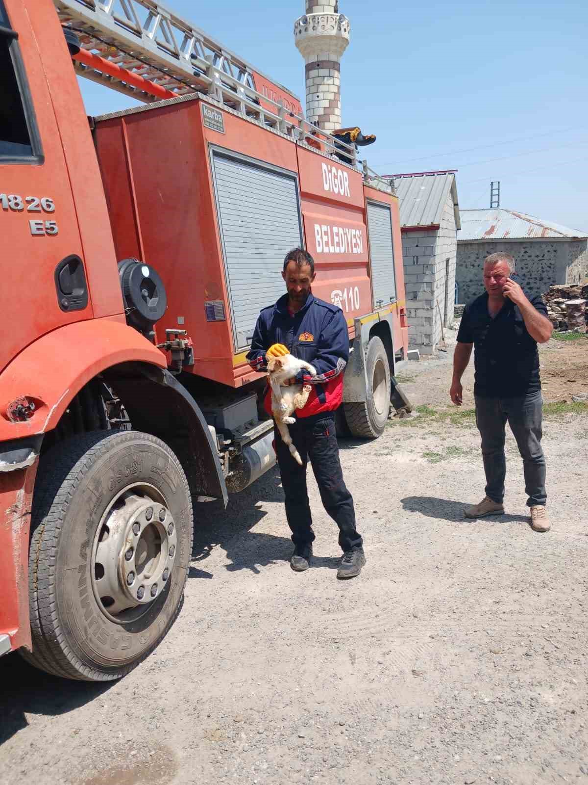 Kars&rsquo;ta elektrik direğinde mahsur kalan kedi kurtarıldı
