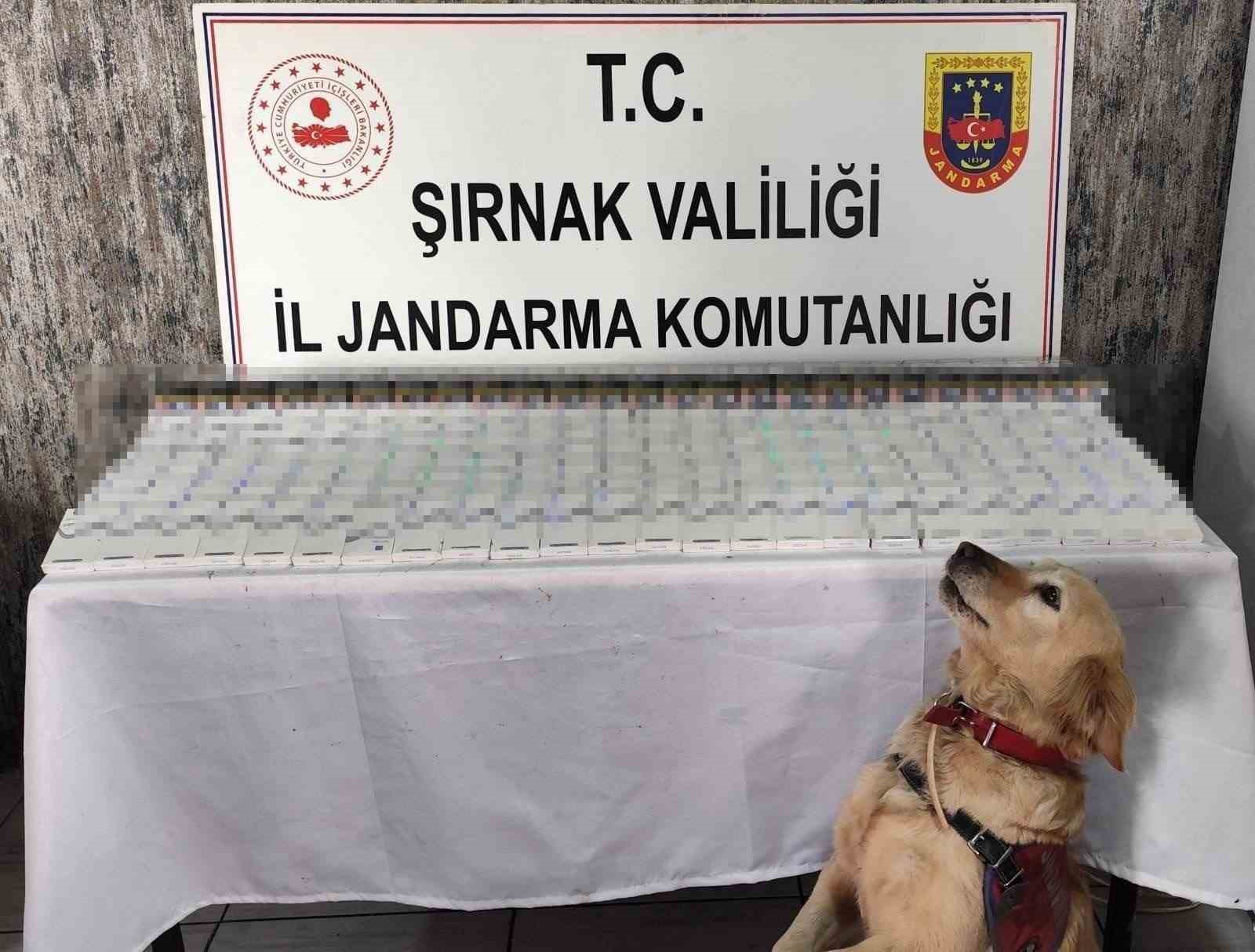 Şırnak’ta 281 bin 500 TL değerinde kaçak malzeme ele geçirildi