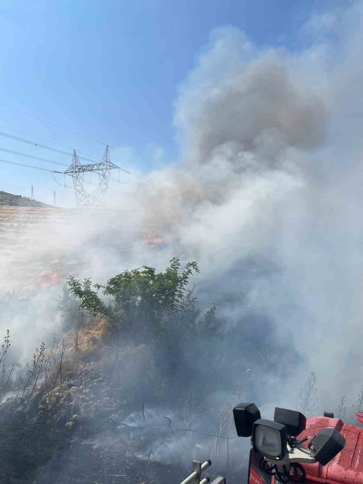 Siirt&rsquo;te &ccedil;ıkan yangında ekili alanlar zarar g&ouml;rd&uuml;

