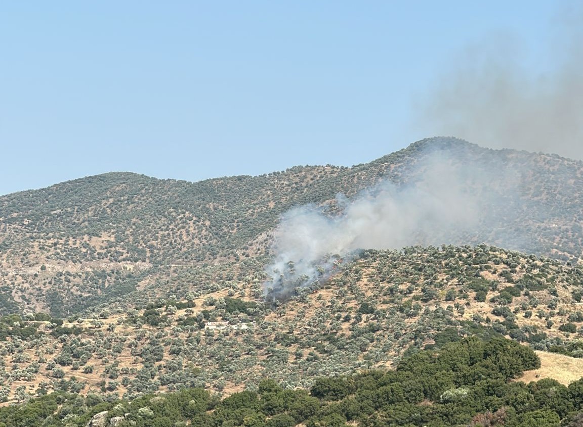 Koçarlı’daki zeytinlik yangını kontrol atına alındı