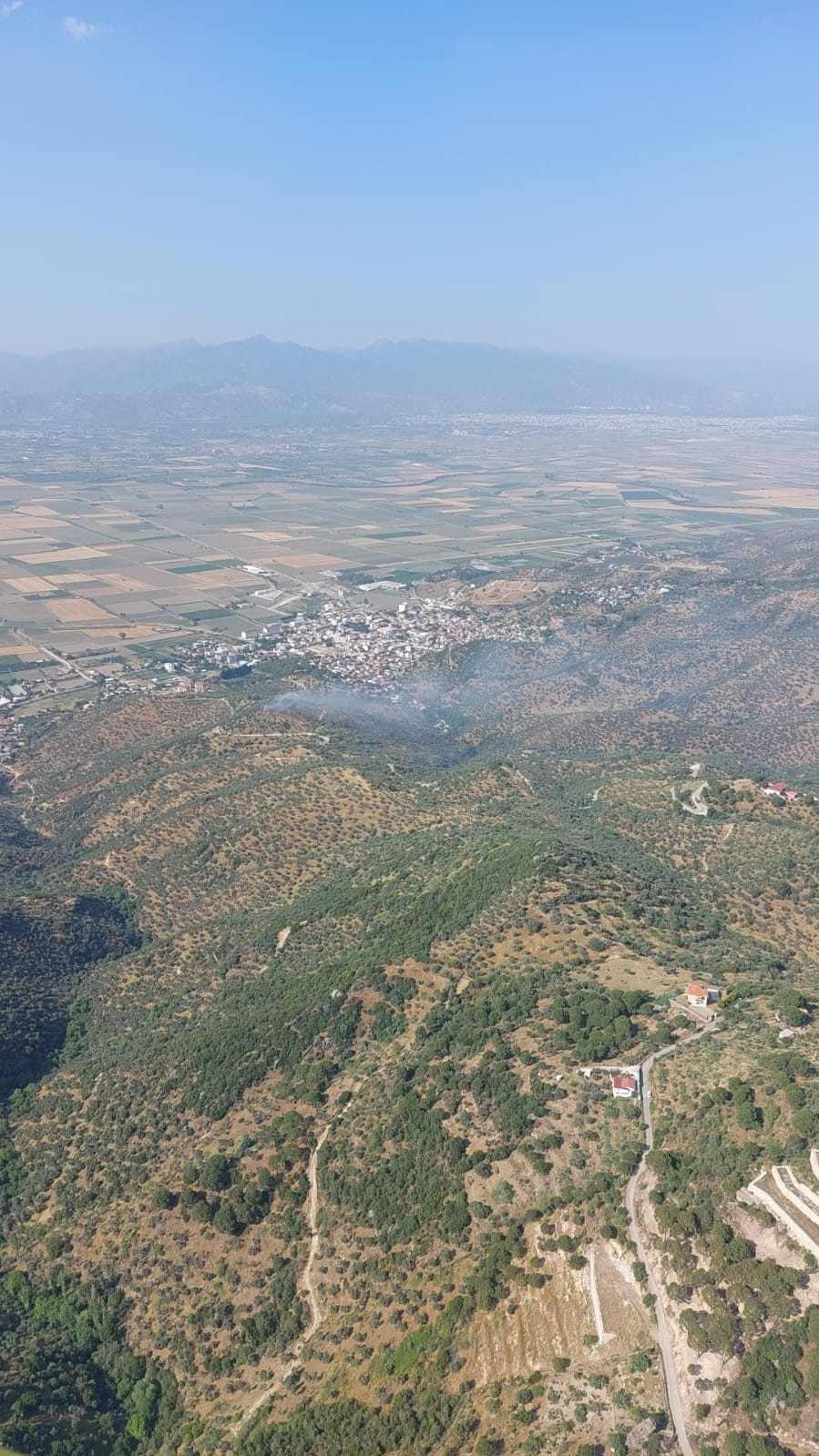 Ko&ccedil;arlı&rsquo;daki zeytinlik yangını kontrol atına alındı
