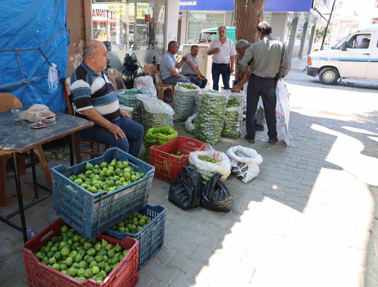 Aydın incirinde ’ilekleme’ sezonu başladı