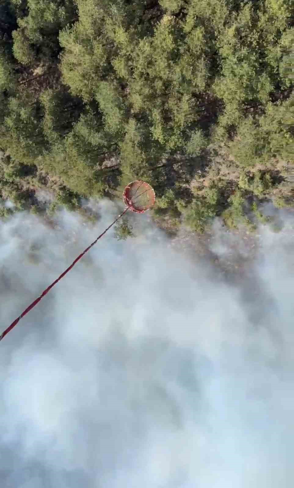 Bigadiç’te orman yangını