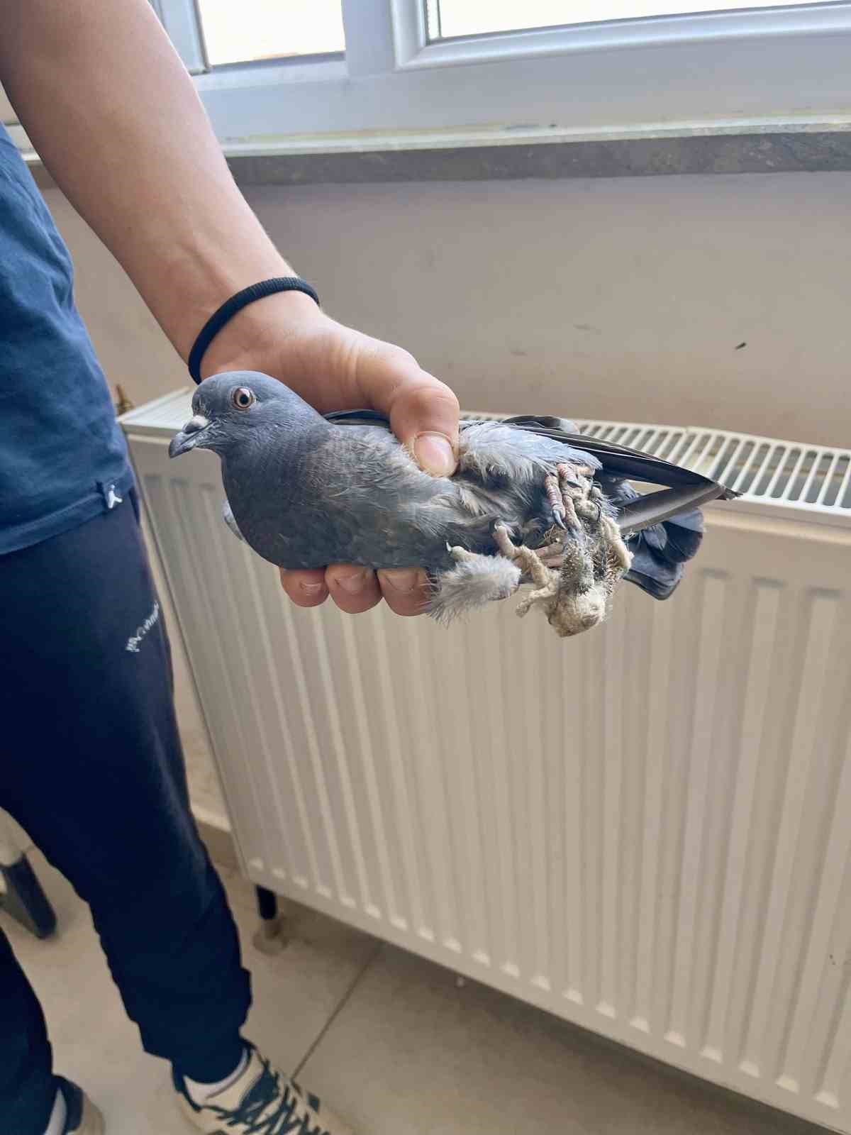 Türkeli Anadolu İHL öğrencilerinden örnek davranış