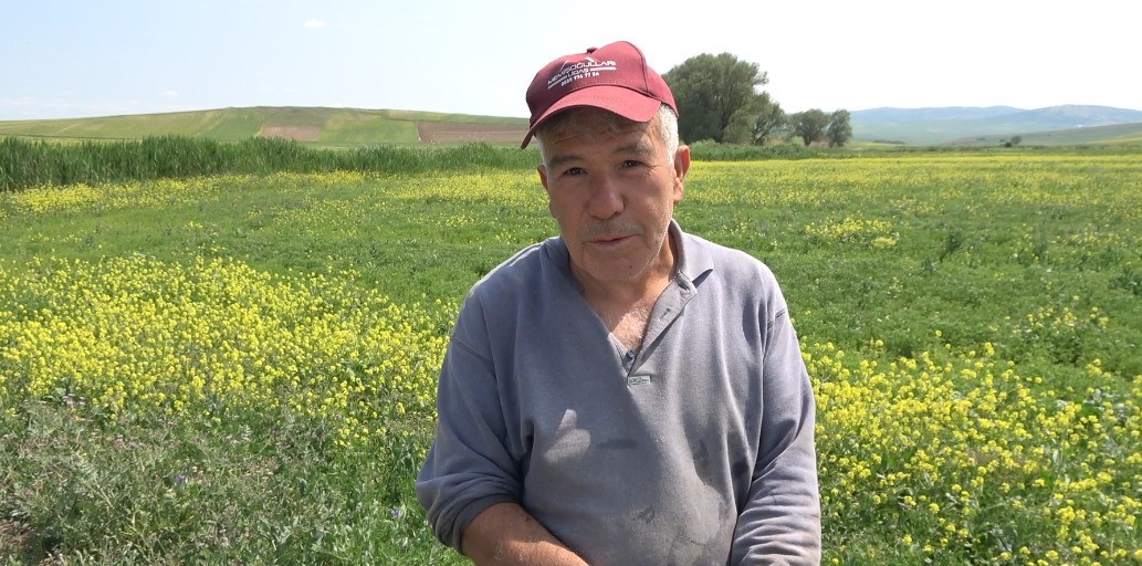 Çiftçiler, zararlı bitkiye karşı önlem almaya başladı