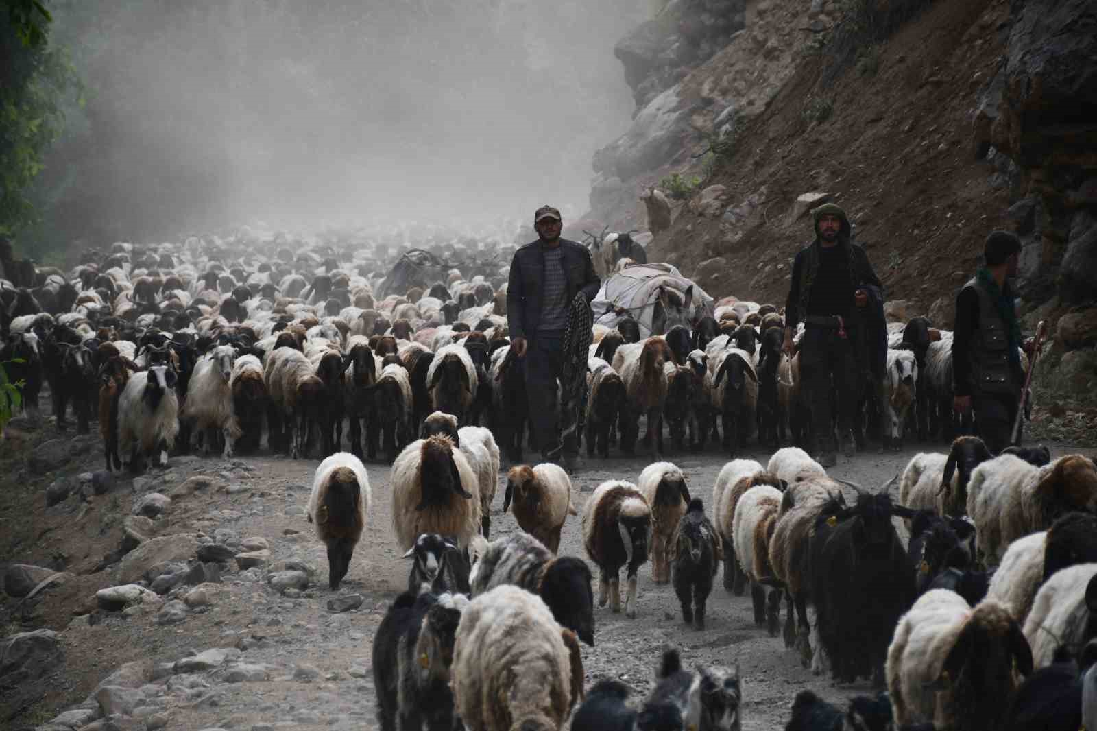 G&ouml;&ccedil;erler, yaklaşık 300 bin k&uuml;&ccedil;&uuml;kbaş hayvanı 4 ay yaylada besleyecek
