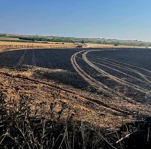 Babaeski’de yaklaşık 30 dönüm ekili buğday yandı