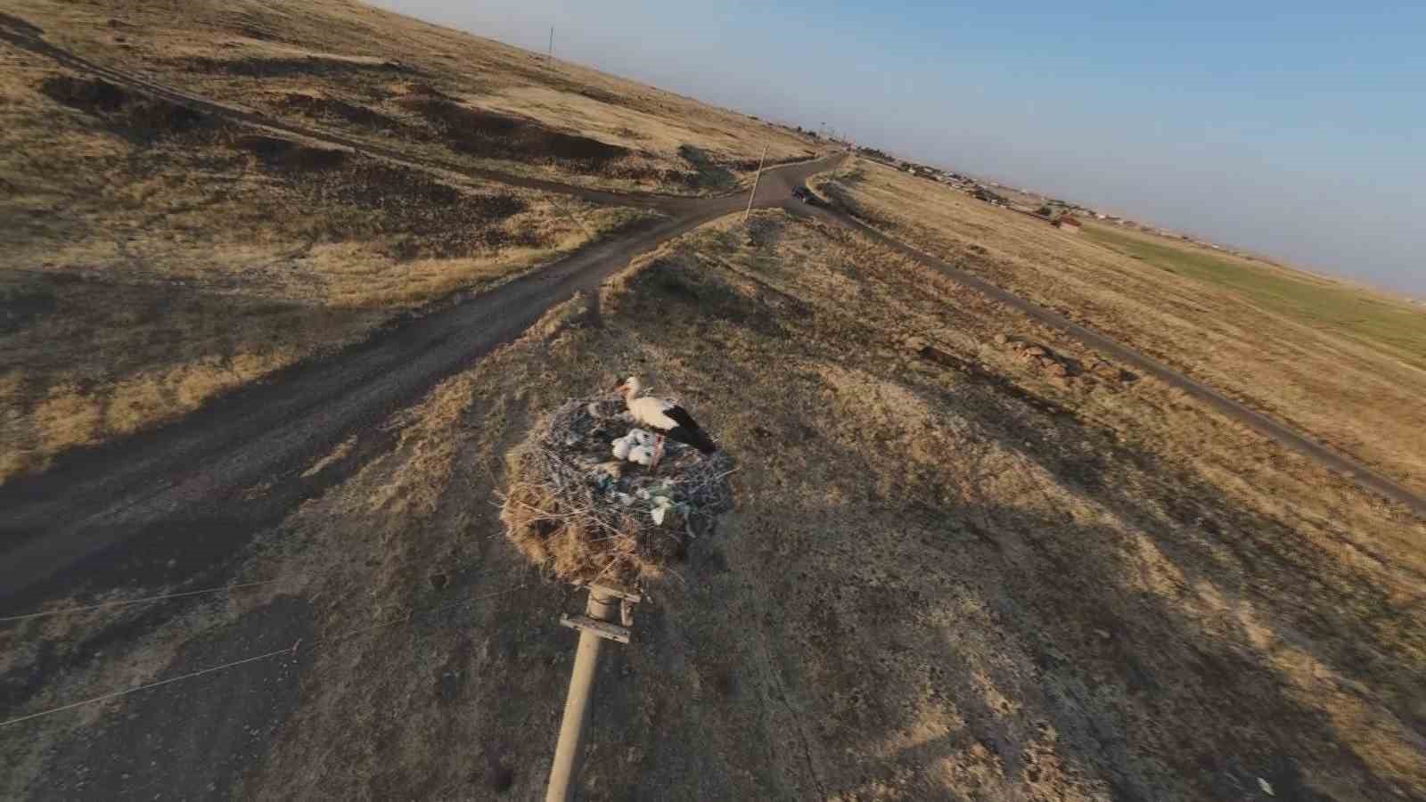 Diyarbakır’da leylekler yuvalarına döndü