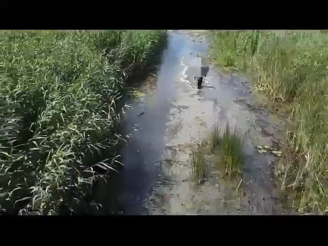 Sülük toplamak için gitti kayboldu