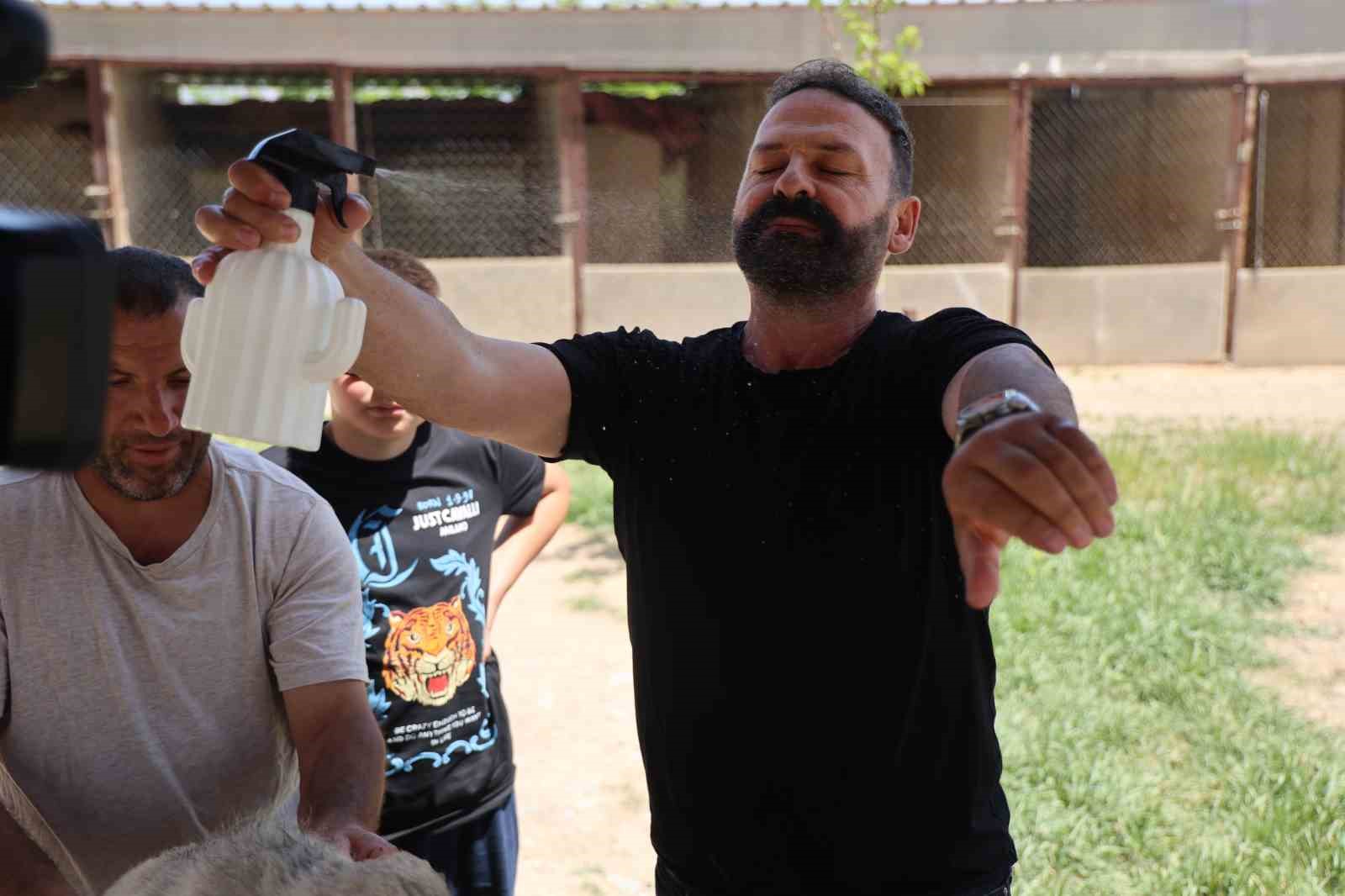 Bölgenin kabusu olan kenelerden korunmak için doğal karışım hazırladı
