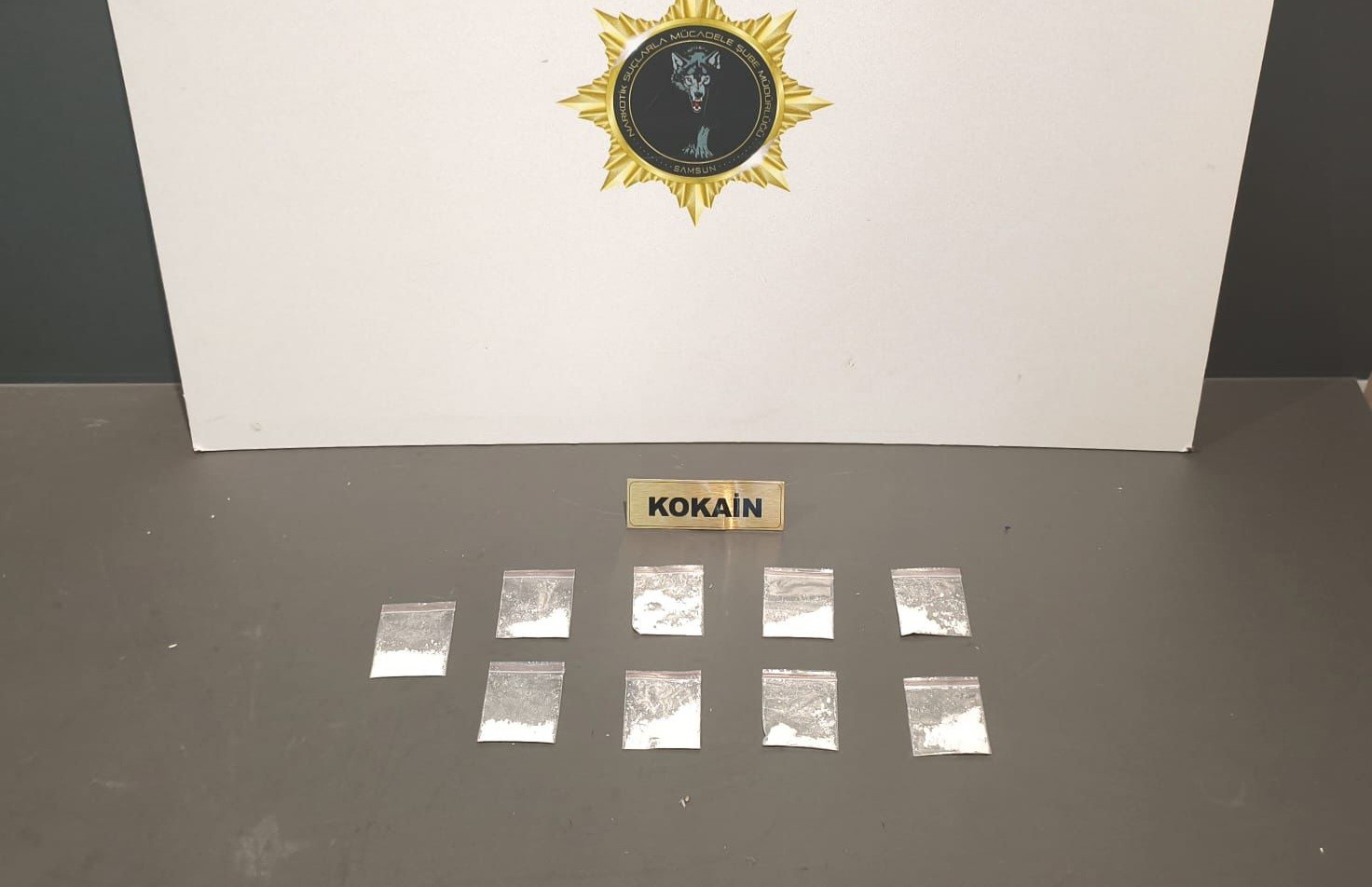 Samsun’da 9 paket kokain ele geçirildi: 1 gözaltı