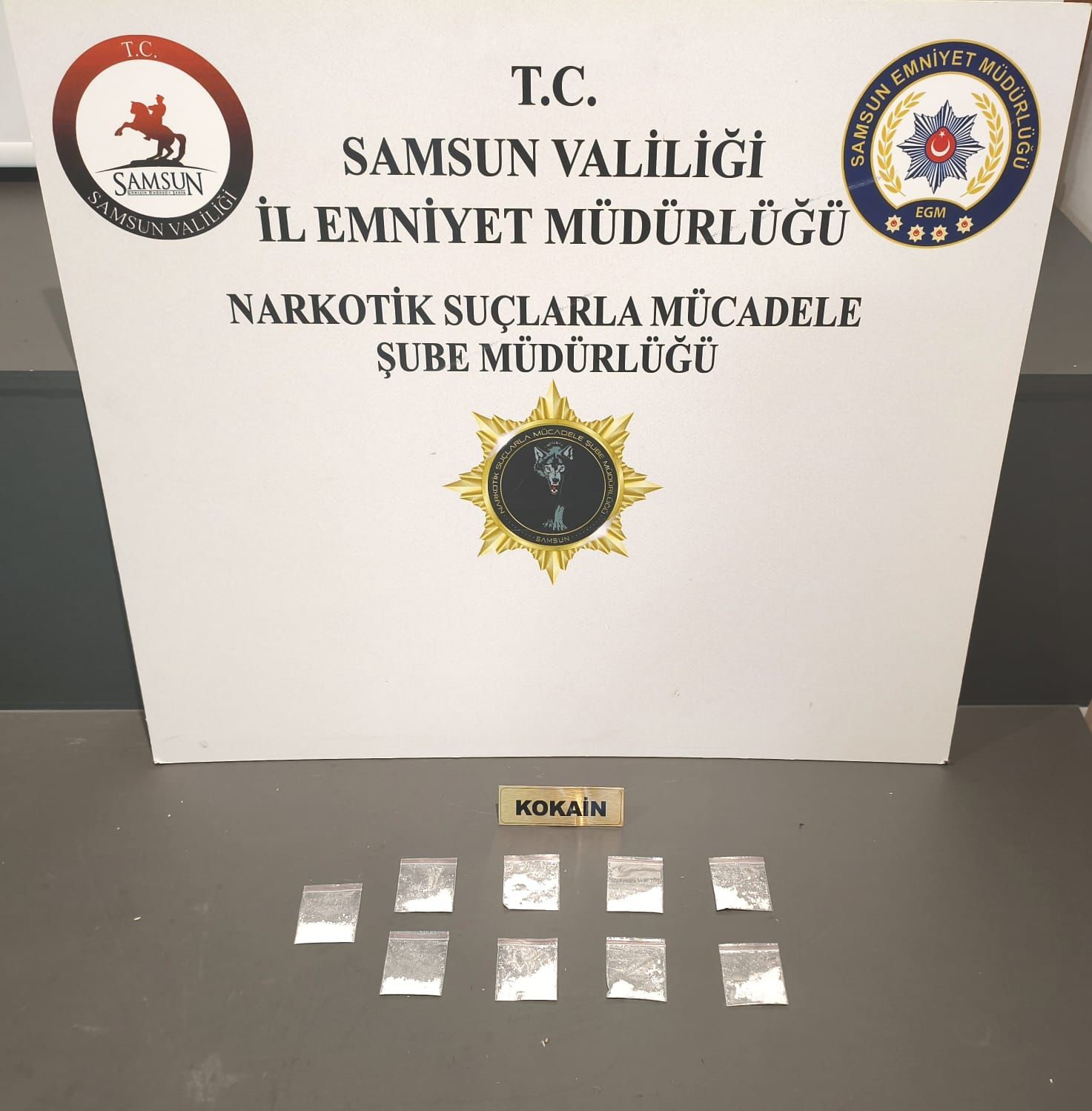 Samsun&rsquo;da 9 paket kokain ele ge&ccedil;irildi: 1 g&ouml;zaltı
