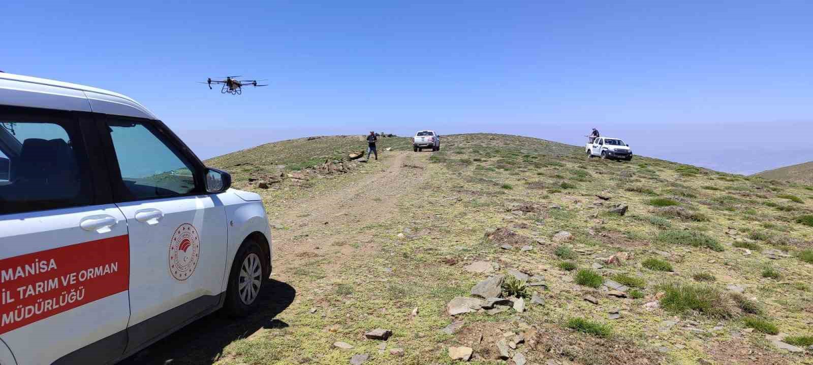 Manisa’da çekirgeye karşı havadan ve karadan mücadele