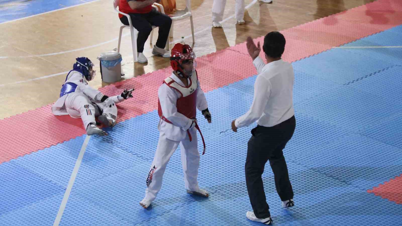 Elazığ’da taekwondo heyecanı
