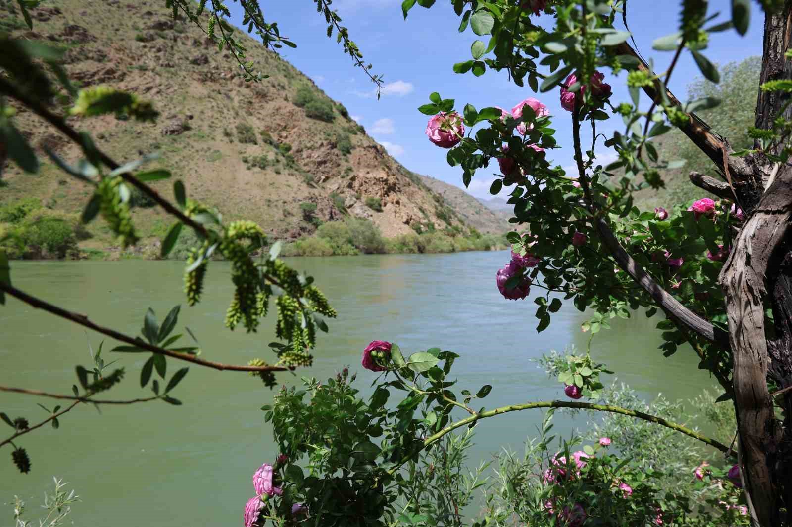 Palu’daki tarihi yapılar fotoğraf karelerine yansıdı
