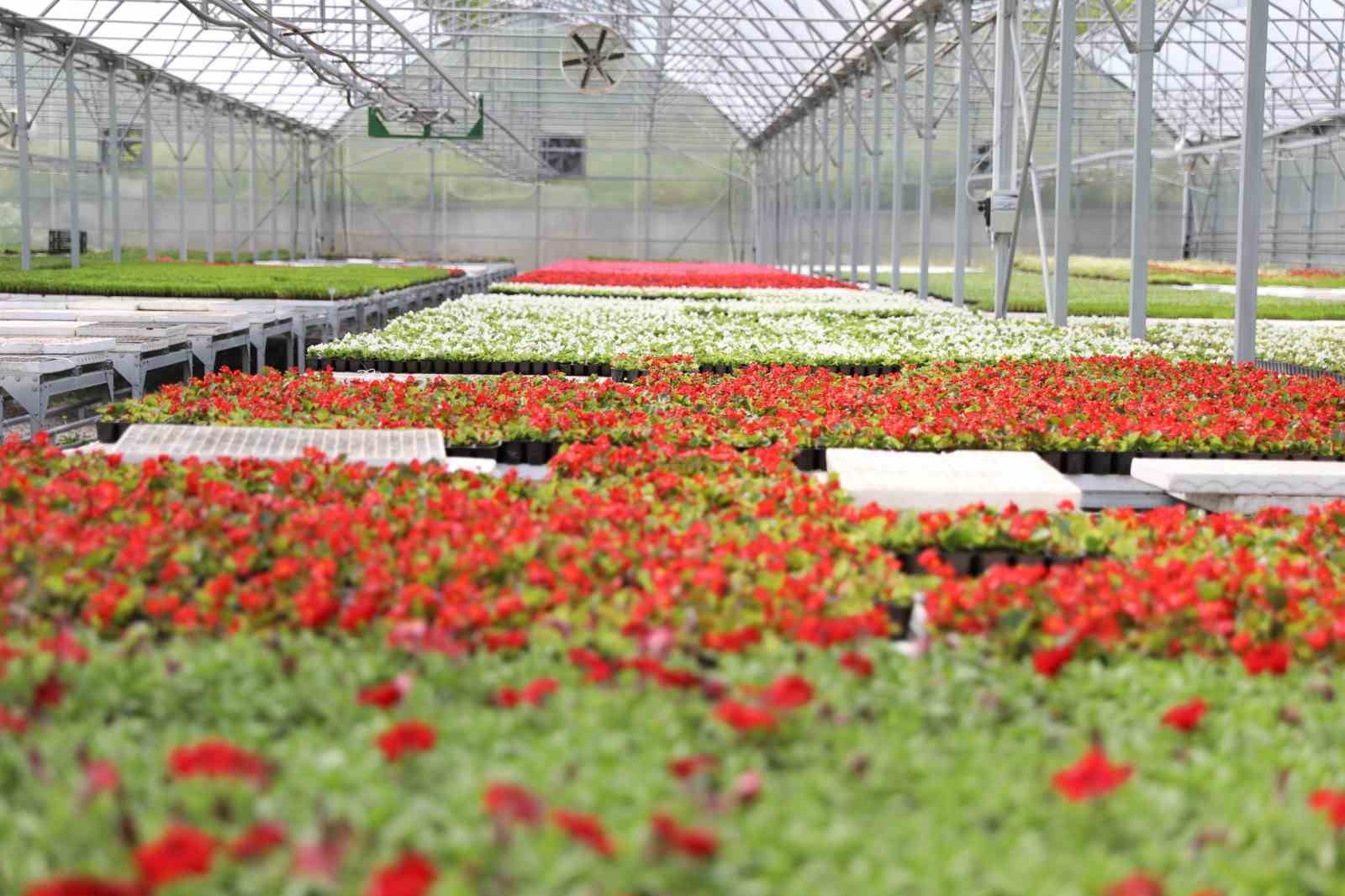 Atıklardan enerji, ısıdan çiçek: Samsun’da çevre dostu dönüşüm örneği