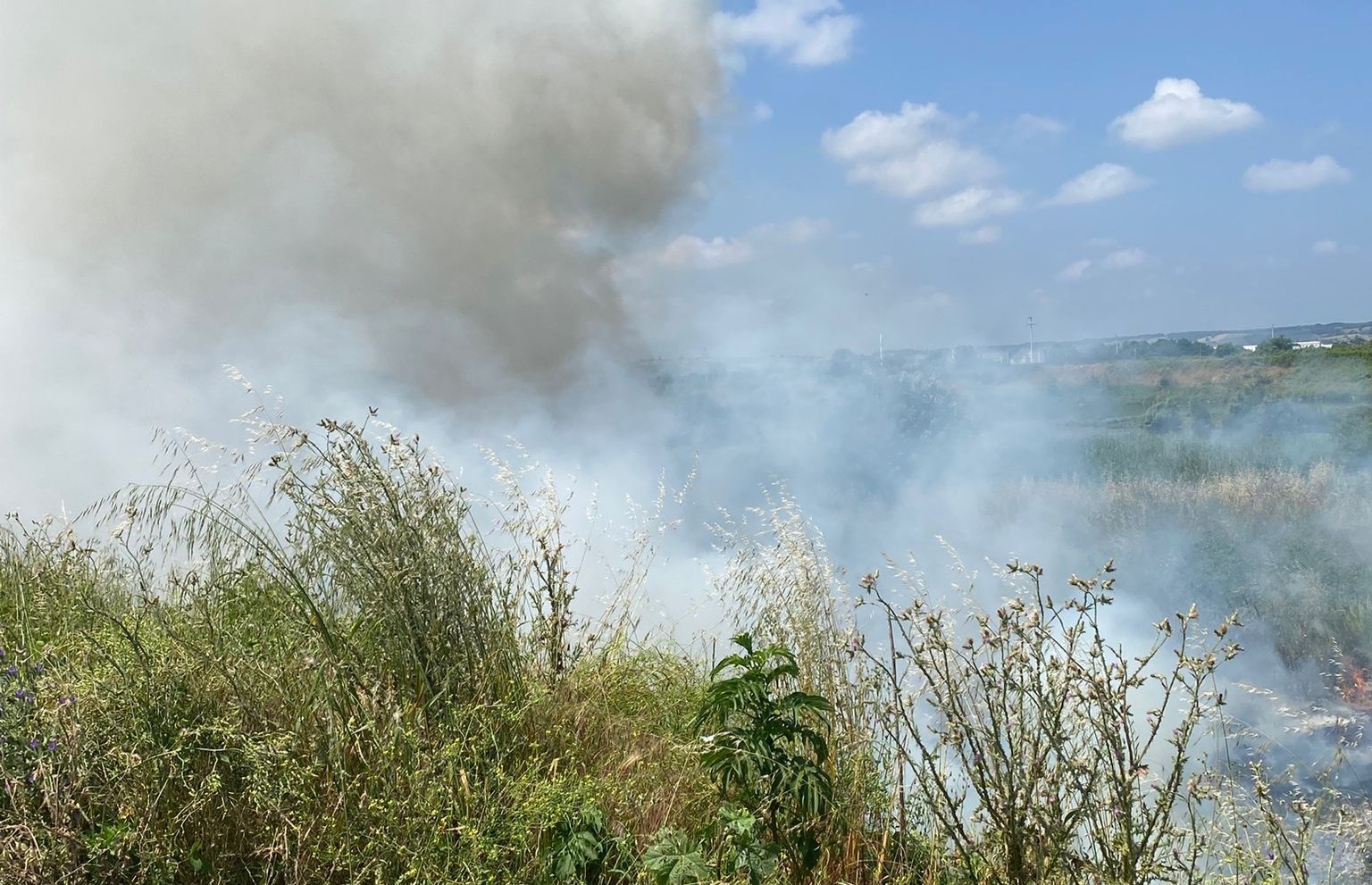 Bafra&rsquo;da ot yangını korkuttu
