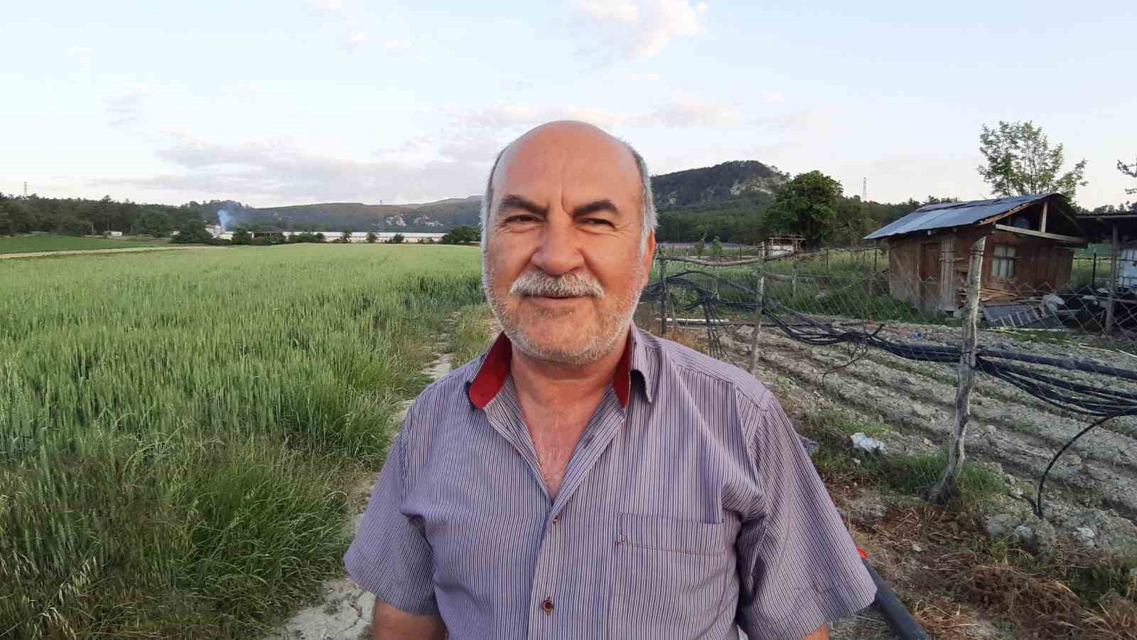 Buğday tarlası &ccedil;i&ccedil;ek bah&ccedil;esine d&ouml;nd&uuml;: "Yoldan ge&ccedil;enler merak edip fotoğraf &ccedil;ekiyorlar"
