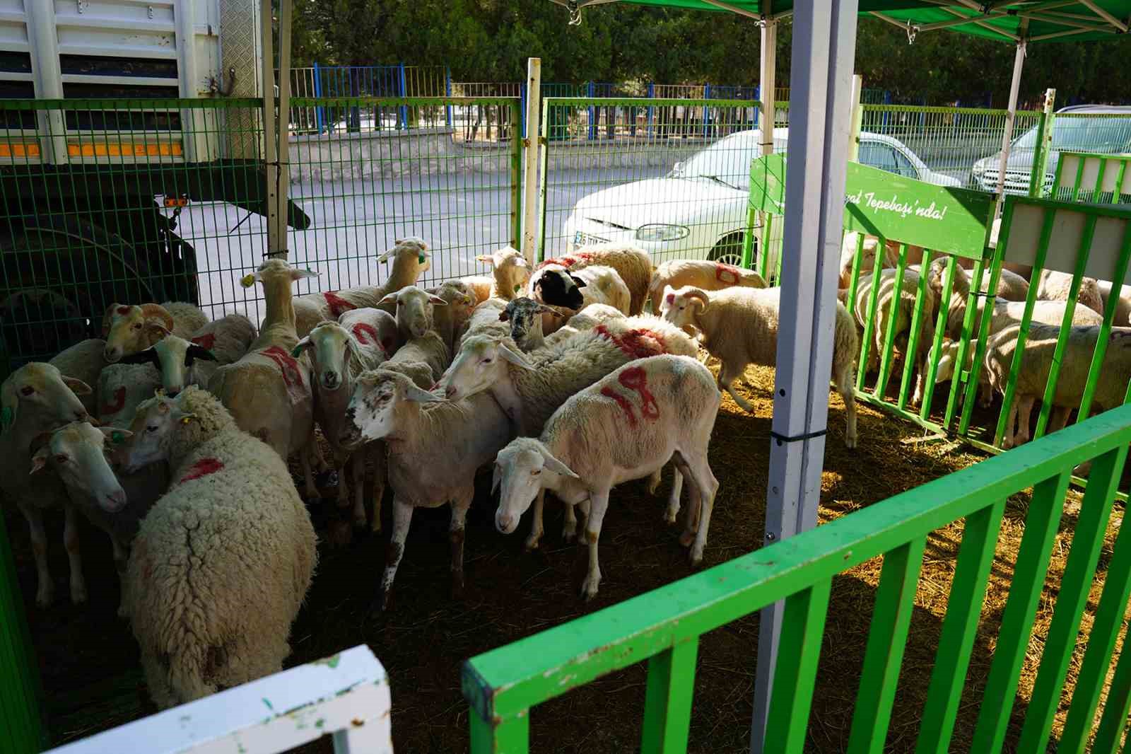 Tepebaşı&rsquo;nda bağışlanan kurbanlar, ihtiya&ccedil; sahibi vatandaşlara sıcak yemek hizmeti olarak ulaştırılıyor
