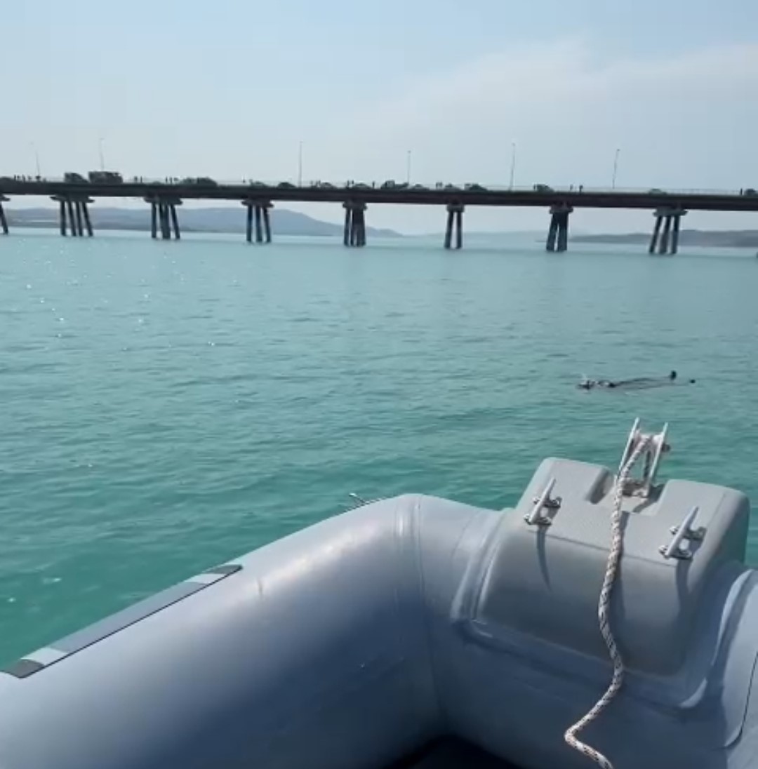 Adana’da baraj gölüne düşen kadını gemi adamlar kurtardı