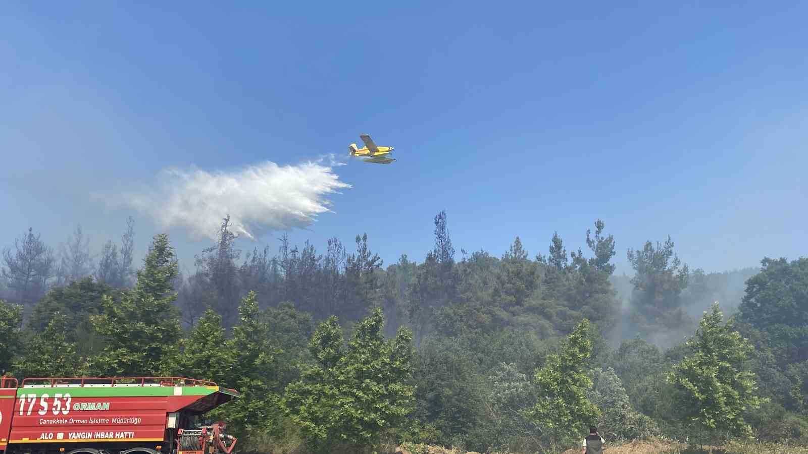 Lapseki’deki orman yangınına havadan ve karadan müdahale ediliyor