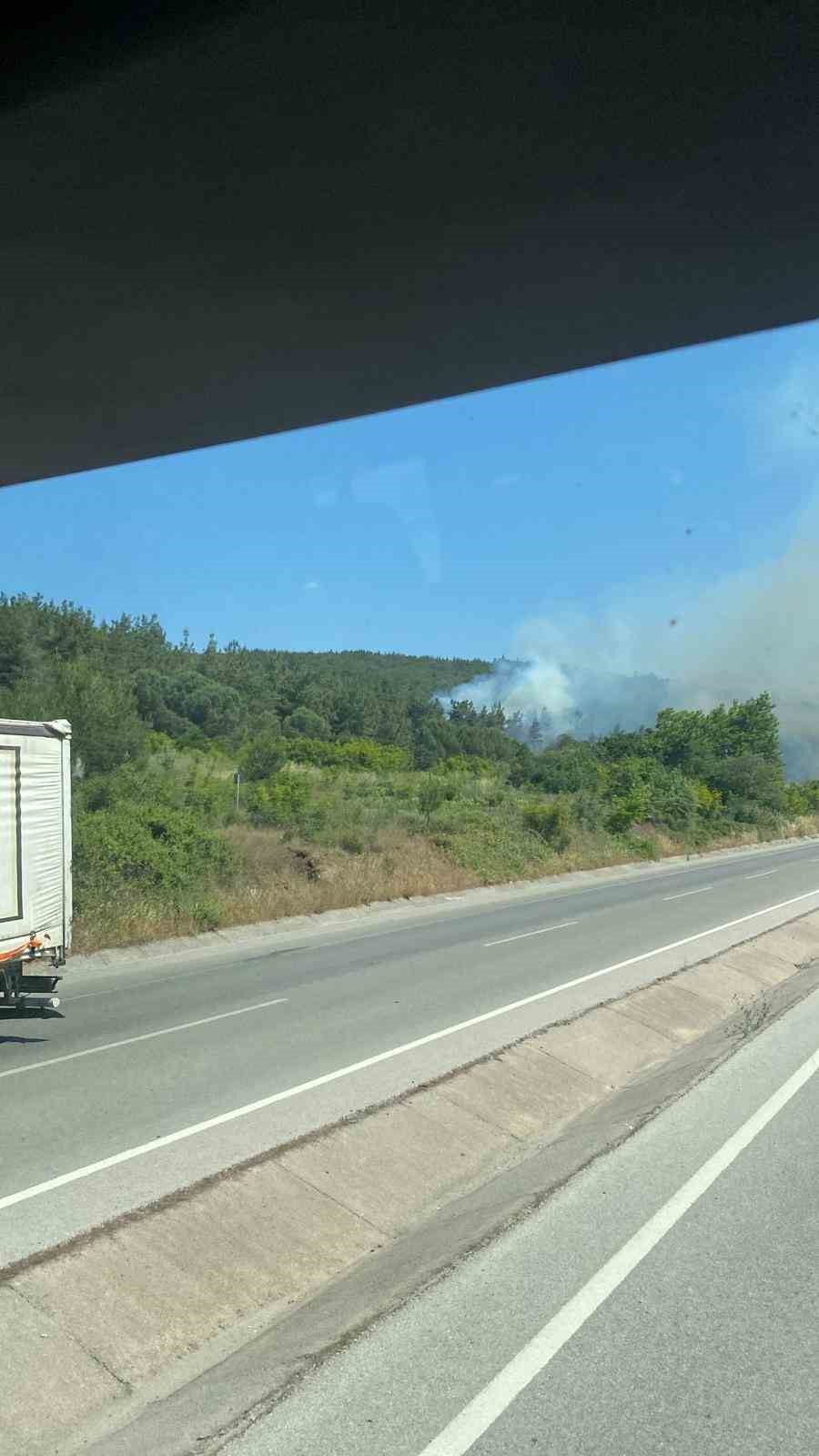 Lapseki&rsquo;deki orman yangınına havadan ve karadan m&uuml;dahale ediliyor
