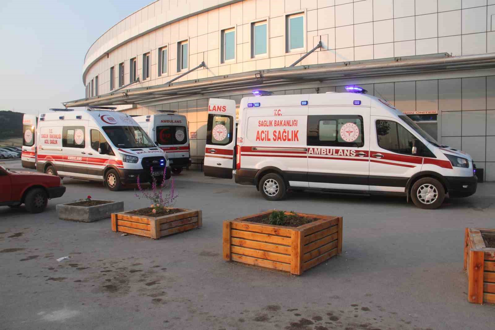 Kayıp kurbanlığı ararken canından oldu