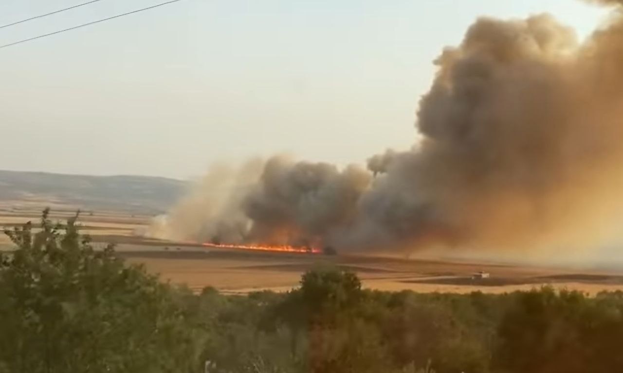 Araban Ovası’nda buğday tarlalarında yangın: 500 dönüm ekili alan kül oldu