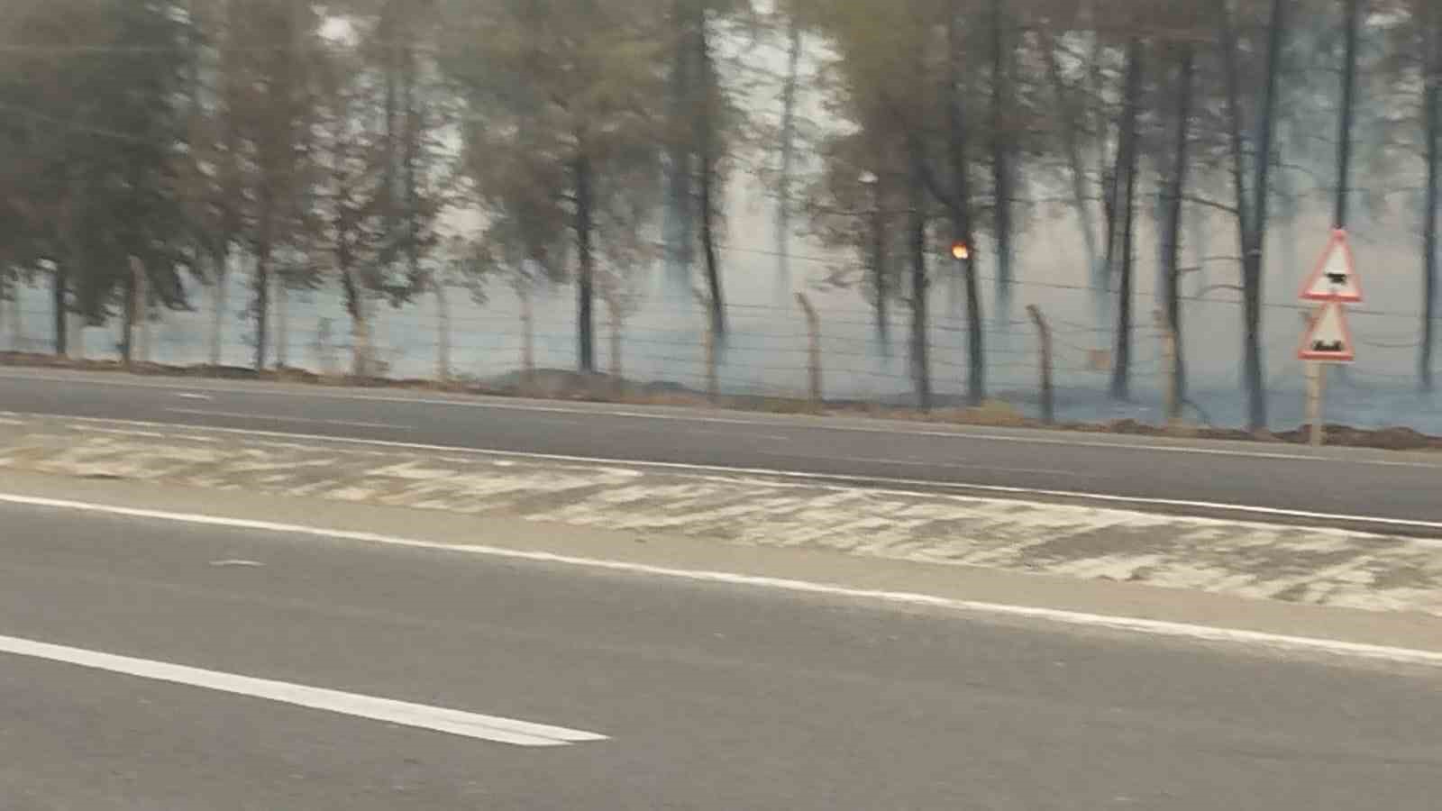 Şanlıurfa’da orman yangını: Alevlerin petrol istasyonuna sıçramaması için seferber oldular