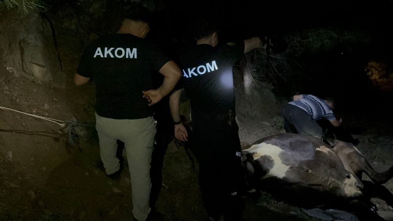Kuyuda bulunan kayıp inek saatler süren çalışmayla kurtarıldı