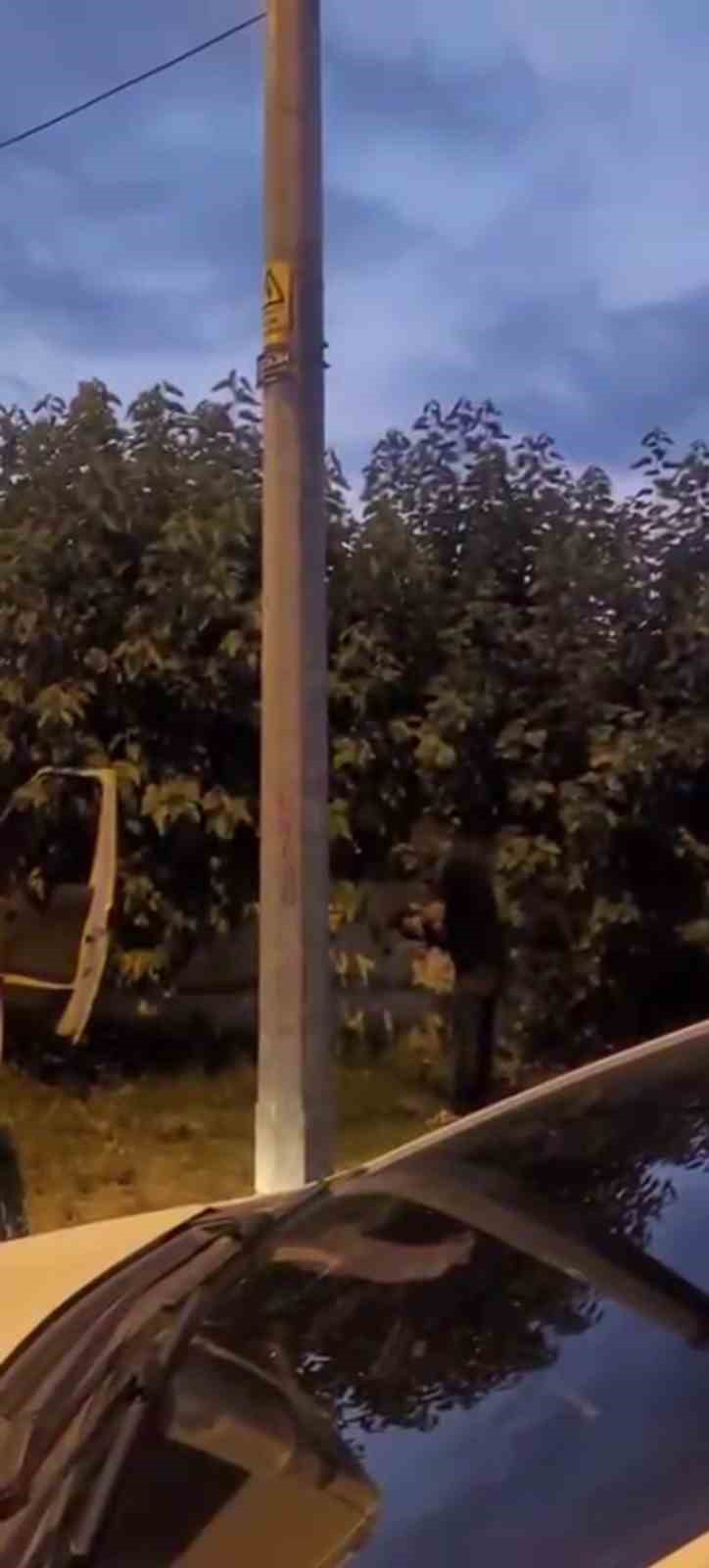 Kazada telef olan horoz i&ccedil;in kalp masajı yaptı
