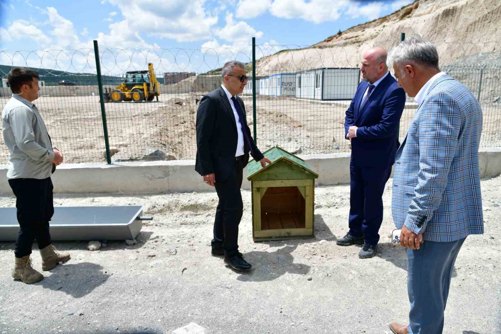 Ardahan’da sahipsiz hayvanlara yeni bir yuva