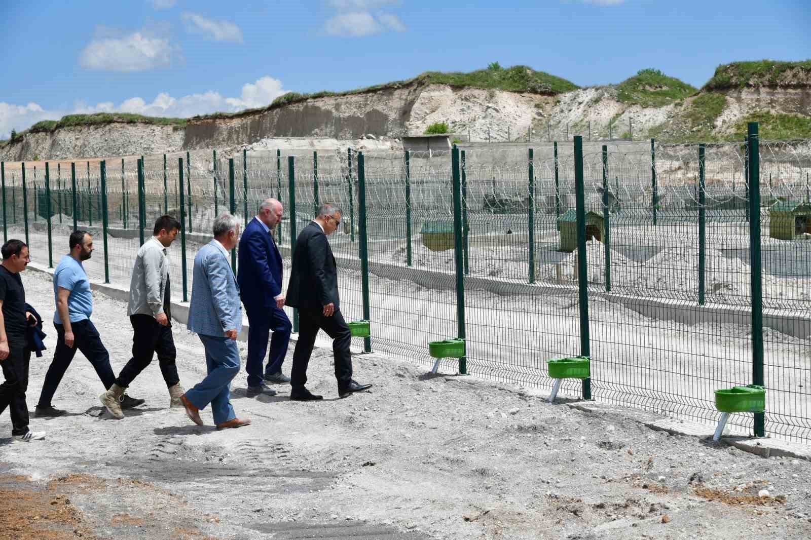 Ardahan&rsquo;da sahipsiz hayvanlara yeni bir yuva
