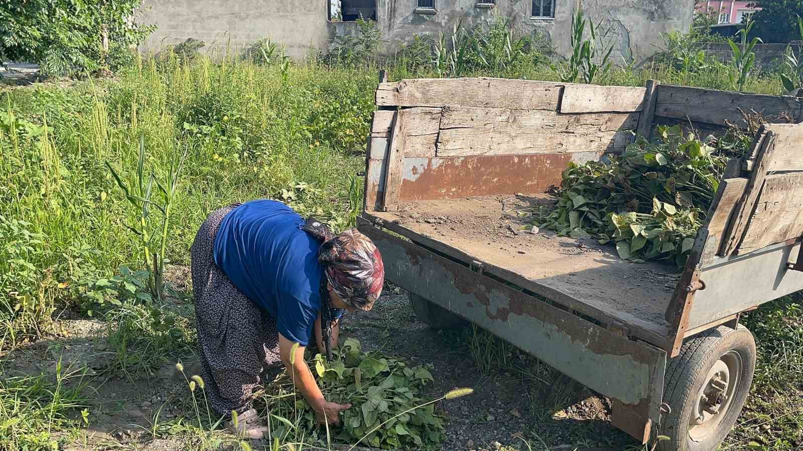 Eşinin yerine girdiği se&ccedil;imde il&ccedil;enin ilk kadın muhtarı oldu
