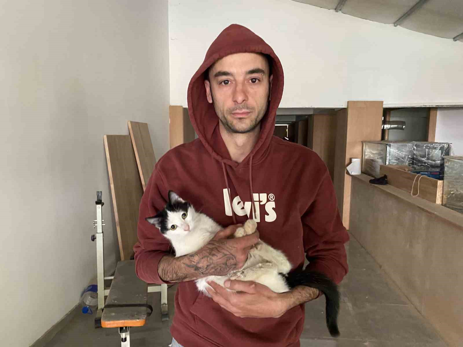 Boş dükkanda bulunan kediler ilginç bir tartışmaya yol açtı