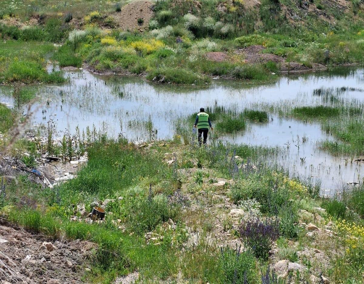 Bayburt’ta kene, bit, pire ve larvalara karşı çalışma başlatıldı